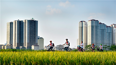 Cuộc sống ngoại thành Hà Nội qua ống kính