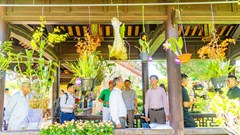 Trưng bày hơn 1.000 tác phẩm cây kiểng và hoa phong lan tại khu di sản Huế 