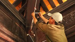 Giằng chống di tích, cắt tỉa cây xanh, neo đậu tàu thuyền ứng phó mưa bão