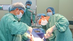 Ghép tủy đồng loại điều trị thành công cho 2 bệnh nhân tan máu bẩm sinh