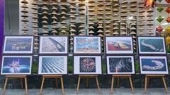 Trưng bày các tác phẩm Ảnh nghệ thuật Việt Nam tại Huế