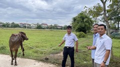 Giảm nghèo bền vững nhìn từ xã khó khăn Điền Hương