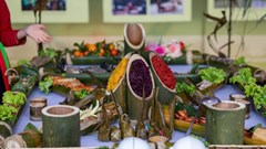 Mang hương rừng xuống phố