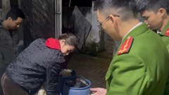 Phát hiện cơ sở dùng hóa chất cấm để sản xuất giá đỗ 