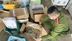 Huế: Thu giữ nhiều thực phẩm đã quá hạn sử dụng, bốc mùi hôi thối