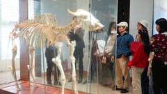 Du khách chen chúc tham quan Bảo tàng Thiên nhiên duyên hải miền Trung