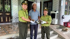 Thành phố Huế: Nhiều người dân tự nguyện bàn giao động vật hoang dã, quý hiếm