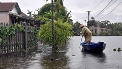 Đi đánh cá giữa ruộng, 2 anh em ruột bị nước lũ cuốn tử vong