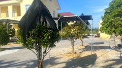 Sẽ xem xét kỷ luật những người liên quan