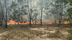 Huế: Gần 400 người tham gia chữa cháy rừng ở vùng ven biển