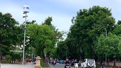 Huế: Tuyến đường kiểu mẫu triển khai trạm BTS tích hợp thân thiện môi trường