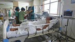 Huế: 42 ca nhiễm liên cầu lợn, 4 trường hợp tử vong