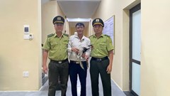 Tiếp nhận gà lôi trắng “đi lạc” khu vực công viên ở Huế