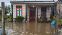 Huế: Nhiều trường học “đóng cửa”, ngành du lịch đảm bảo an toàn cho du khách