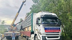 TP. Huế tiếp nhận lô hàng viện trợ của Nga giúp người dân bị ảnh hưởng mưa lũ