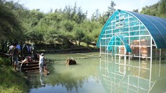 Khẩn trương xử lý việc ngập nước tại Di tích quốc gia Tháp Chăm Phú Diên 