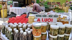 Đưa nông sản Huế lên sàn số, mở rộng thị trường và giảm nghèo bền vững