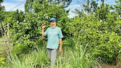 TP. Huế: Giảm nghèo nhờ những mô hình sinh kế bền vững