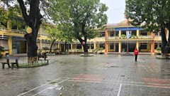 Khẩn trương làm rõ nguyên nhân khiến nhiều học sinh lớp 2 bị nôn sau giờ ăn