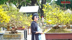 Ngắm những tuyệt tác Hoàng mai Huế bên dòng sông Hương