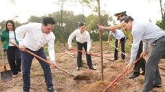 Trồng cây xanh tạo không gian sinh thái ở hồ Thủy Tiên