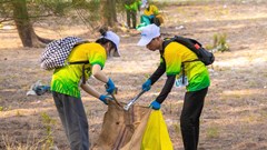 Kết nối chính sách và thực tiễn nhằm thúc đẩy giảm bao bì nhựa