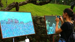 Gặp “Giấc mơ của những giấc mơ” giữa đồi Kim Sơn