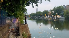 Huế: Lễ tang tổ chức không quá 72 giờ, không rải vàng mã khi đưa tang