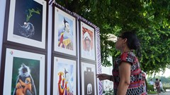TP. Huế tổ chức triển lãm ảnh văn hóa nghệ thuật các nước ASEAN 