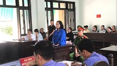 Nữ kế toán chiếm đoạt hơn 5,8 tỉ đồng từ tài khoản tạm giữ của Cục Thi hành án dân sự