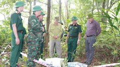 Khảo sát khu vực nghi có mộ liệt sĩ gần đỉnh đèo Hải Vân