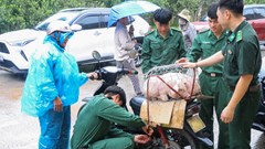 Trao sinh kế hỗ trợ phụ nữ vùng biên A Lưới thoát nghèo
