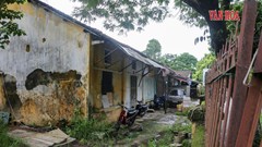 “Sống liều” trong khu nhà sắp đổ nát cạnh di tích Quốc Tử Giám