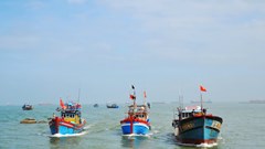 Ngư dân gặp khó do hạ tầng nghề cá chưa đáp ứng nhu cầu 