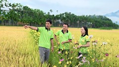 Người trẻ tạo “sức sống” cho du lịch cộng đồng