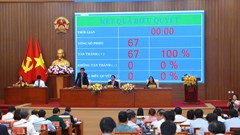 Quảng Ngãi thông qua Nghị quyết quy định mức hỗ trợ khắc phục dịch bệnh động vật