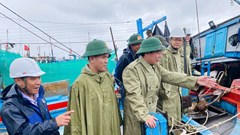 Thực hiện các phương án phòng chống bão khẩn trương, quyết liệt