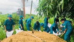 Quảng Ngãi triển khai các biện pháp ứng phó bão số 12