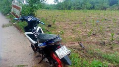 Giải cứu người đàn ông rơi xuống cầu mắc kẹt giữa dòng lũ