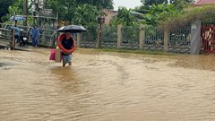 Mực nước ở các sông Quảng Ngãi đang lên, nhiều tuyến đường chìm trong nước