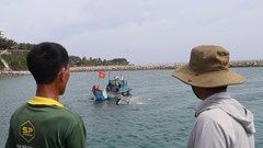 Thuyền trưởng đánh đổi con tàu giành lấy sự sống của 14 người 