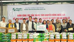 Hỗ trợ nông dân Quảng Ngãi sớm tái thiết hoạt động nông nghiệp