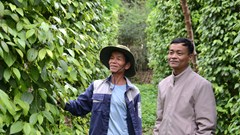 Chi hội trưởng nông dân năng động, làm kinh tế giỏi