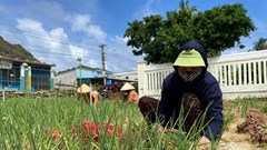 Đặc khu Lý Sơn đẩy mạnh công tác giảm nghèo, nâng cao đời sống người dân