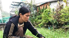 Việc làm nhỏ, ý nghĩa lớn