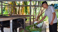 Mộ Đức nỗ lực giảm nghèo sau khi thực hiện chính quyền địa phương 2 cấp