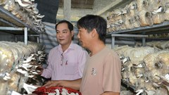 Vốn tín dụng chính sách “mở đường” khởi nghiệp cho lao động nông thôn