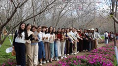 Hàng nghìn du khách đổ về Khu du lịch Măng Đen trong ngày đầu nghỉ lễ Tết Dương lịch