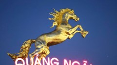 Gợi mở câu chuyện gắn kết đại ngàn với đại dương