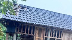 Lốc xoáy làm tốc mái 116 nhà ở miền núi Quảng Ngãi